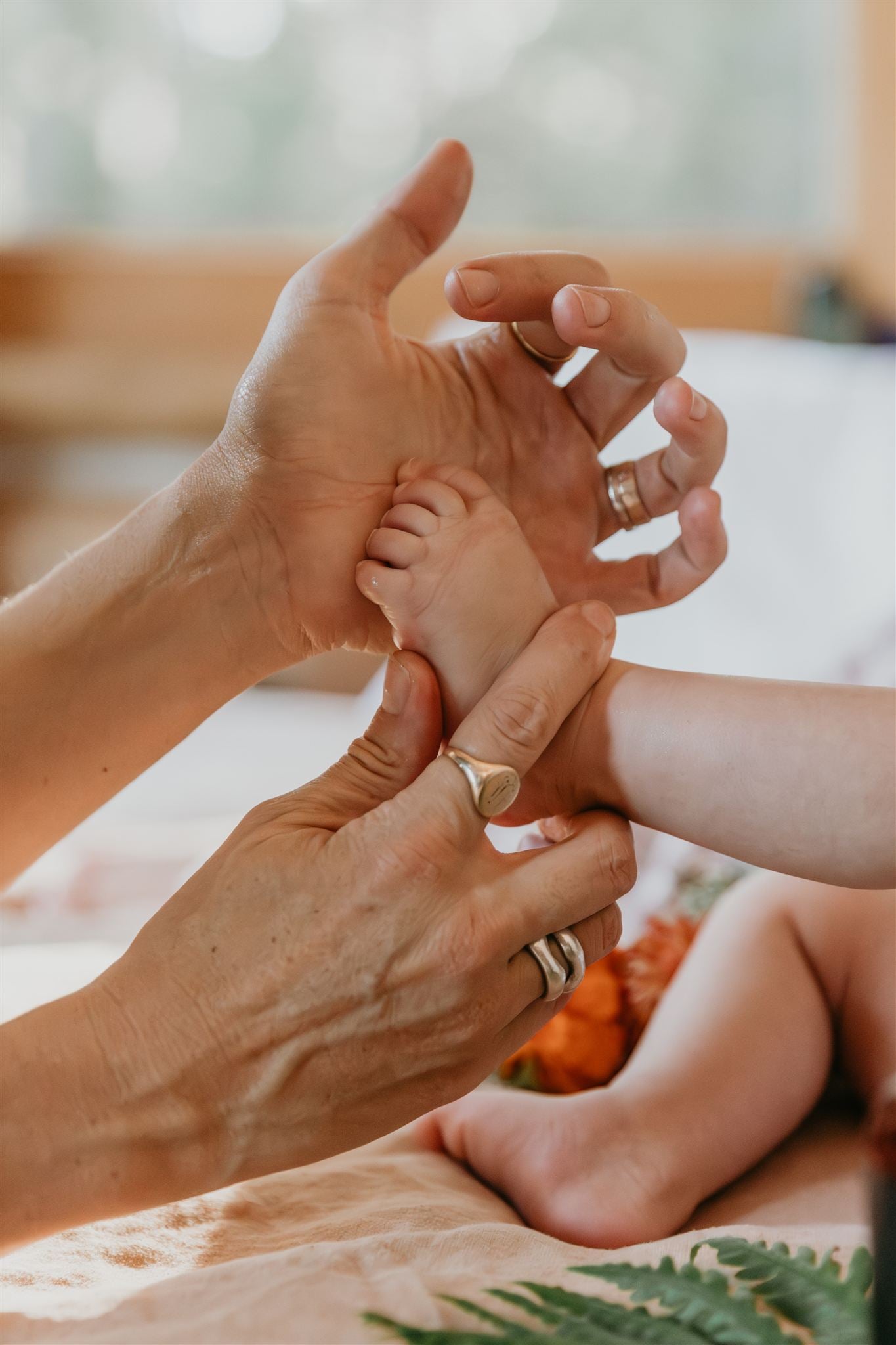 St. John's Wort Herbal Body Oil